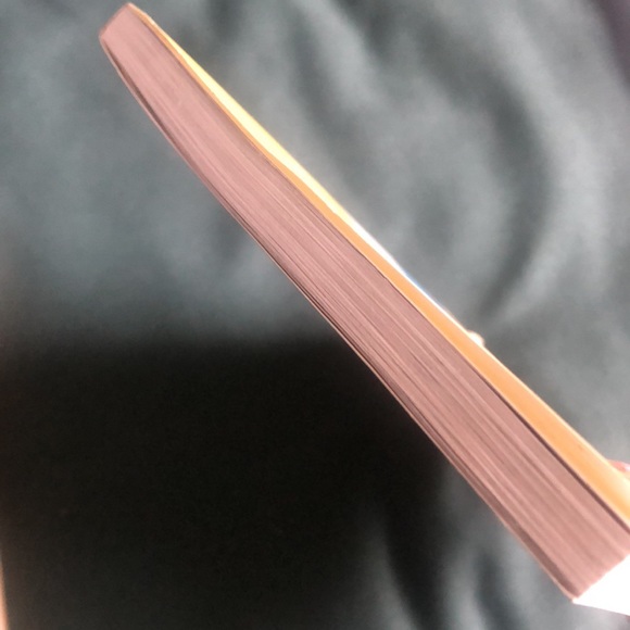 Book- Hank Zipzer, the World's Greatest Underachiever Niagara Falls, or Does It? - Picture 9 of 16